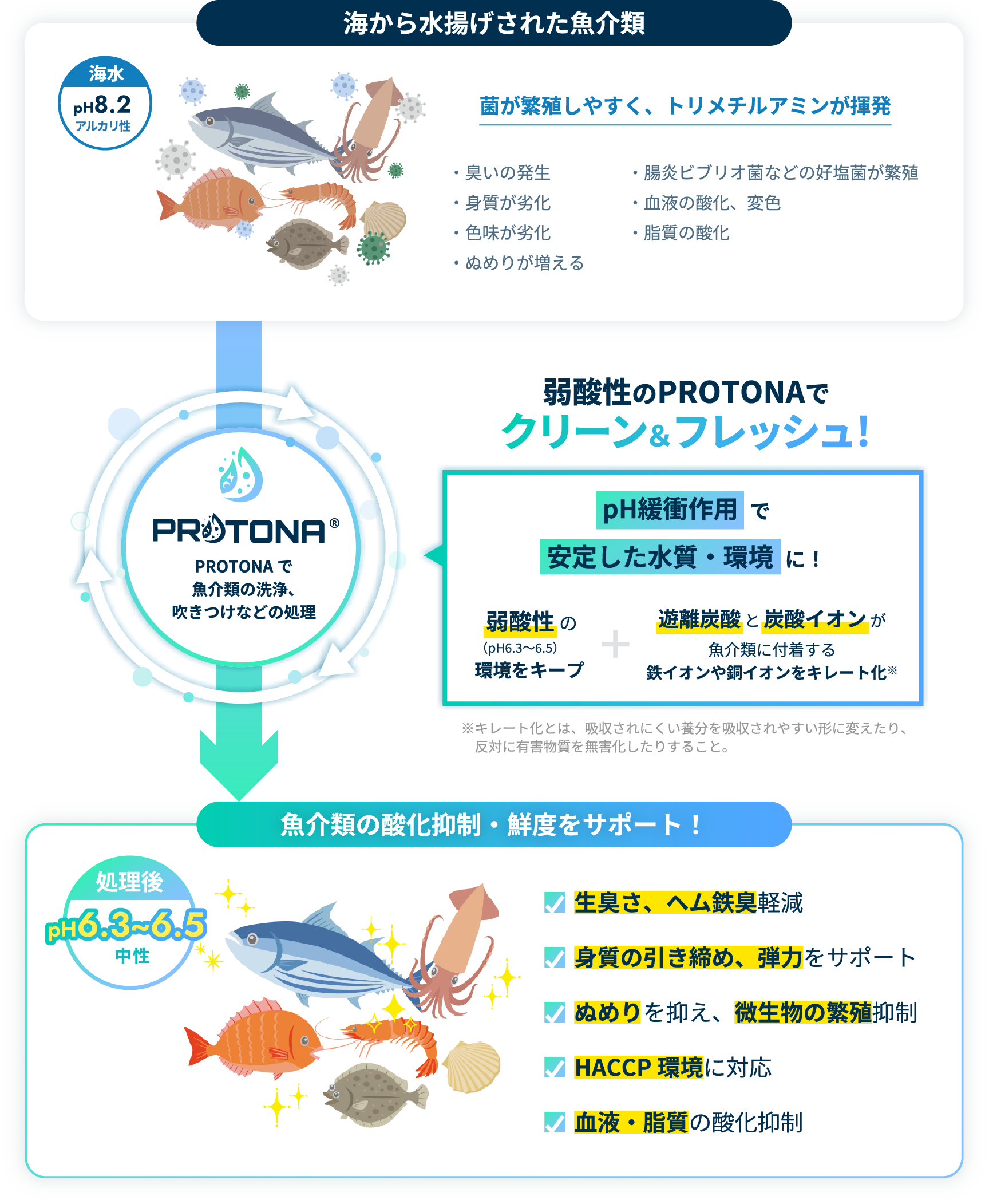 PROTPNAの品質サポートメカニズム