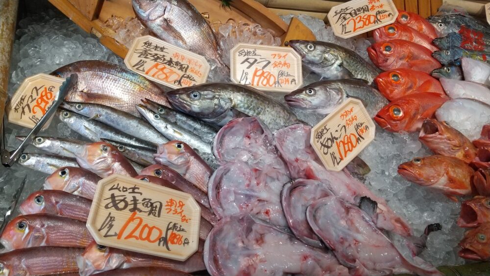 【漁師・魚屋必見】魚の廃棄ロスを劇的に減らす！鮮度管理の極意